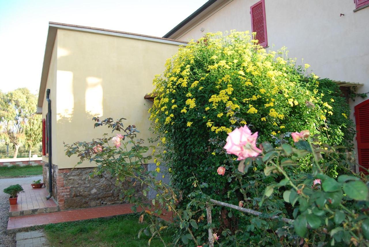 Casa Vacanze Guardamare San Vincenzo Extérieur photo